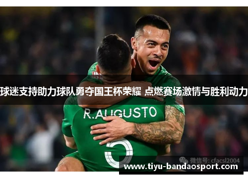 球迷支持助力球队勇夺国王杯荣耀 点燃赛场激情与胜利动力