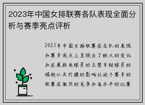 2023年中国女排联赛各队表现全面分析与赛季亮点评析