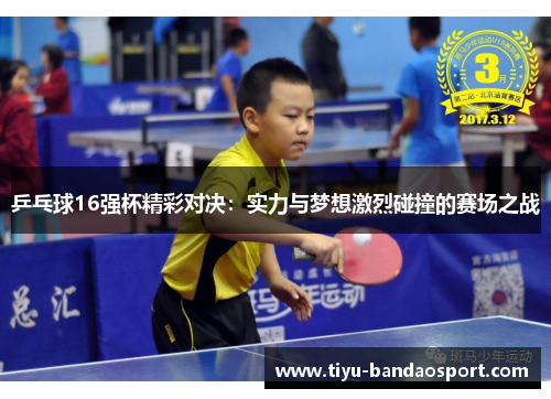 乒乓球16强杯精彩对决：实力与梦想激烈碰撞的赛场之战