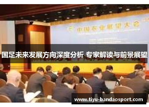 国足未来发展方向深度分析 专家解读与前景展望 国足未来发展方向深度分析 专家解读与前景展望