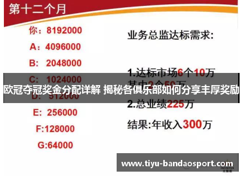 欧冠夺冠奖金分配详解 揭秘各俱乐部如何分享丰厚奖励