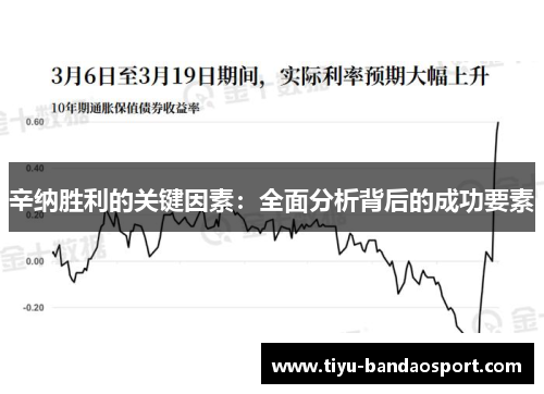 辛纳胜利的关键因素：全面分析背后的成功要素