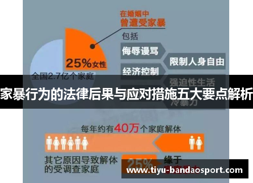 家暴行为的法律后果与应对措施五大要点解析