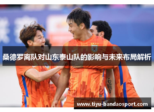 桑德罗离队对山东泰山队的影响与未来布局解析