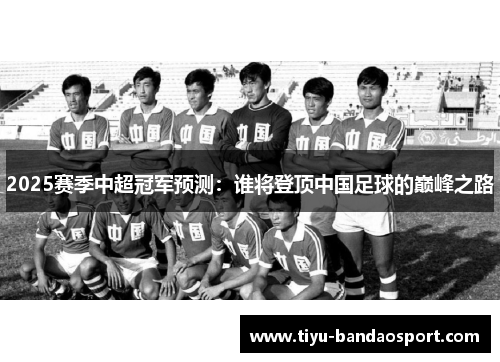 2025赛季中超冠军预测：谁将登顶中国足球的巅峰之路