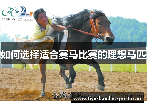 如何选择适合赛马比赛的理想马匹 如何选择适合赛马比赛的理想马匹