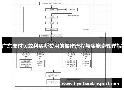 广东支付贝兹利买断费用的操作流程与实施步骤详解