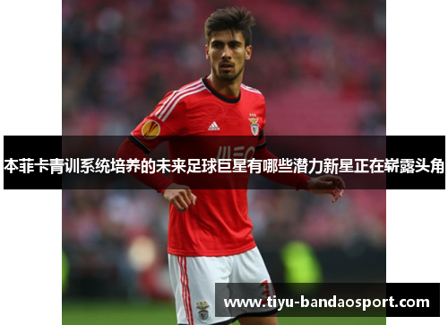 本菲卡青训系统培养的未来足球巨星有哪些潜力新星正在崭露头角