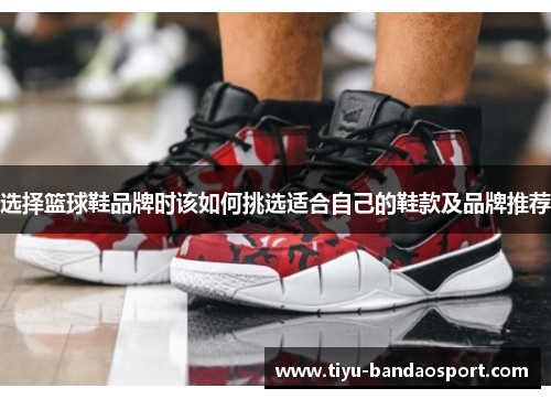 选择篮球鞋品牌时该如何挑选适合自己的鞋款及品牌推荐 选择篮球鞋品牌时该如何挑选适合自己的鞋款及品牌推荐