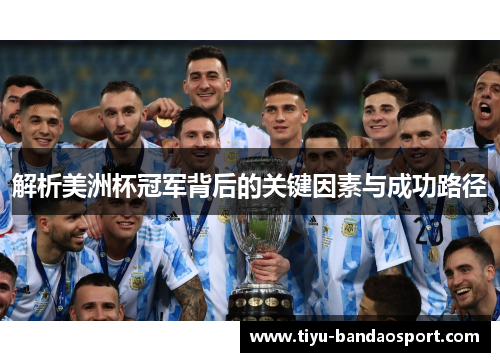 解析美洲杯冠军背后的关键因素与成功路径 解析美洲杯冠军背后的关键因素与成功路径