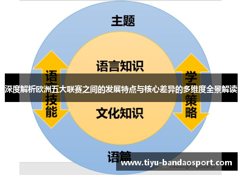 深度解析欧洲五大联赛之间的发展特点与核心差异的多维度全景解读